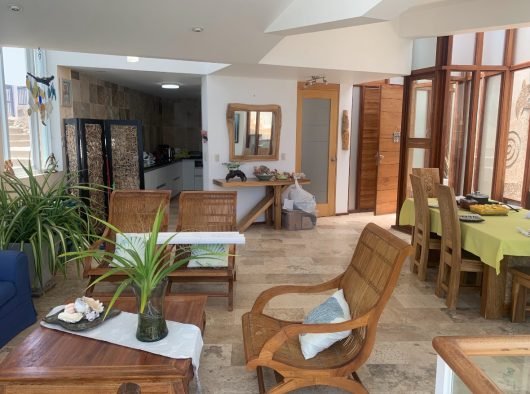 20250225_201007584_iOS