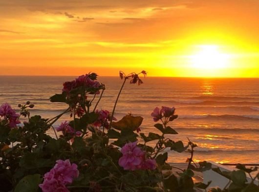 20250225_201714941_iOS