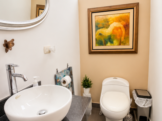 Baño de visitas