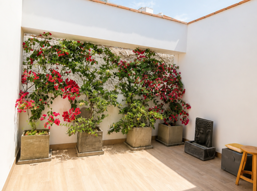 Patio interno