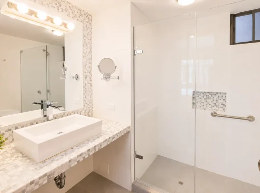 ZZ.- Baño Principal